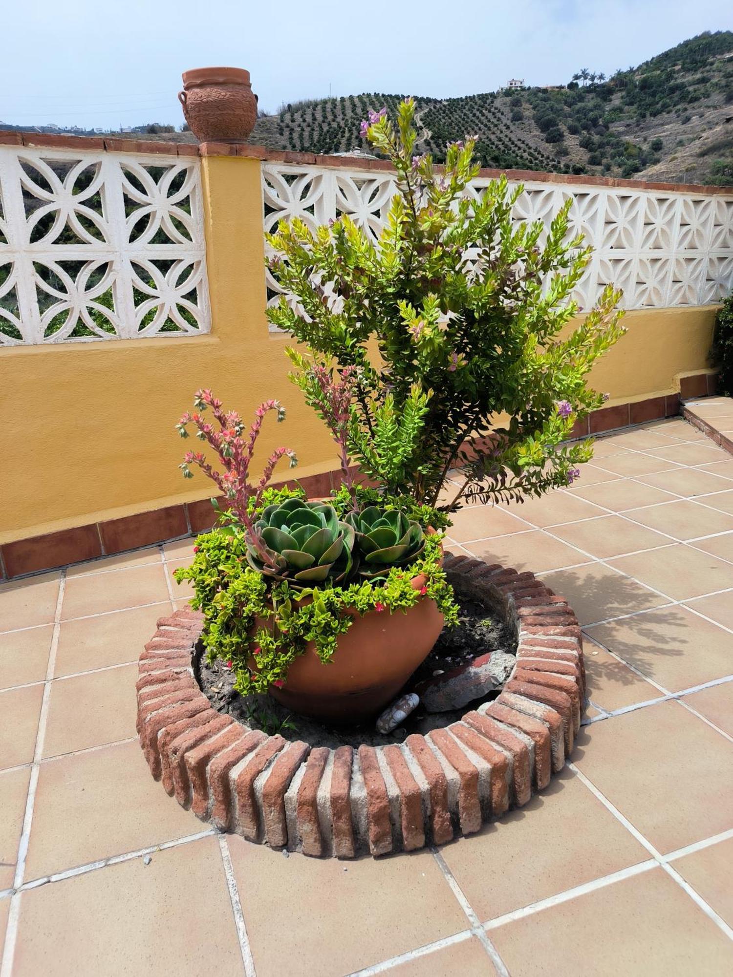 Cortijo Maria Gomez Villa Málaga Dış mekan fotoğraf