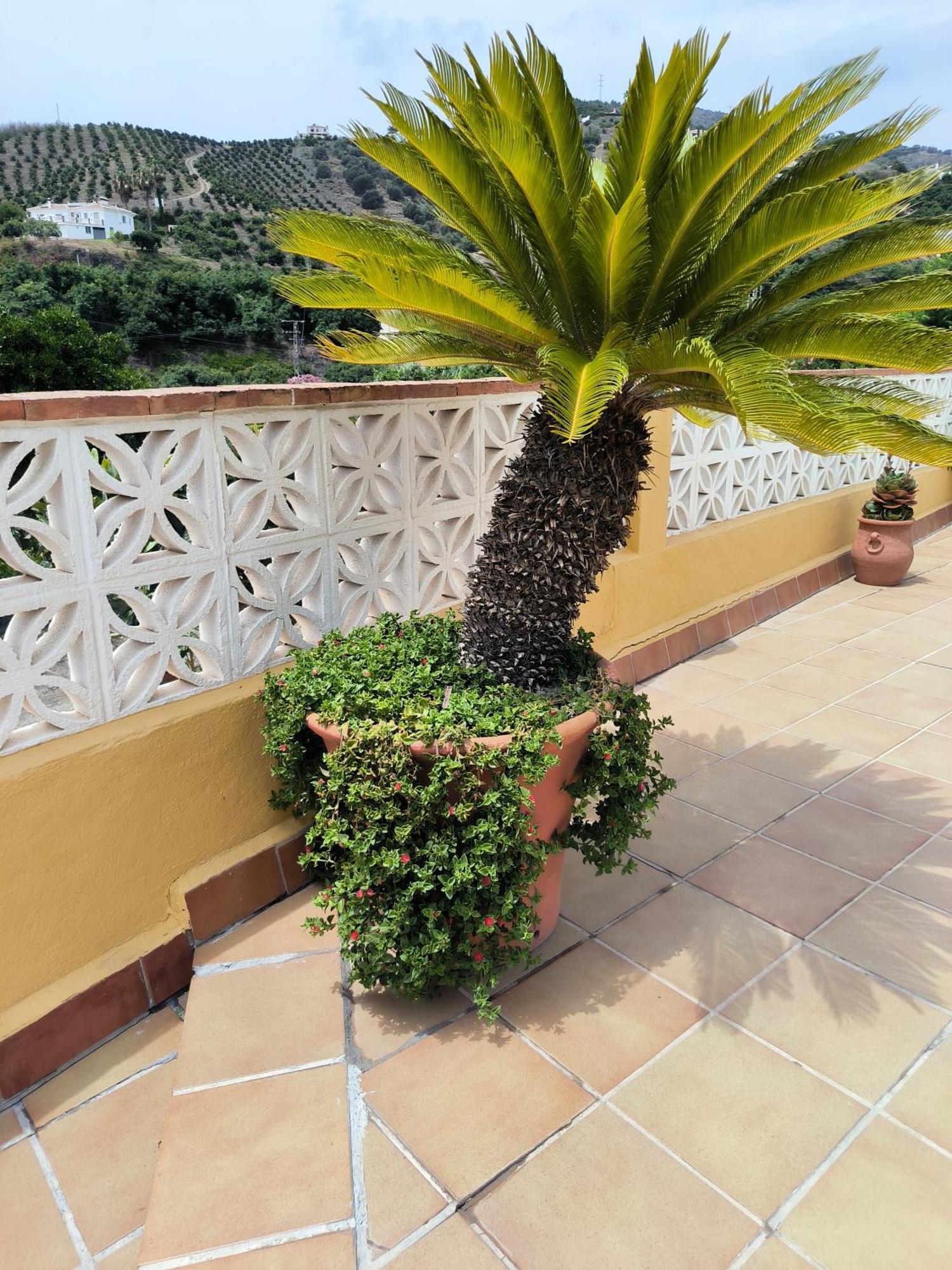 Cortijo Maria Gomez Villa Málaga Dış mekan fotoğraf